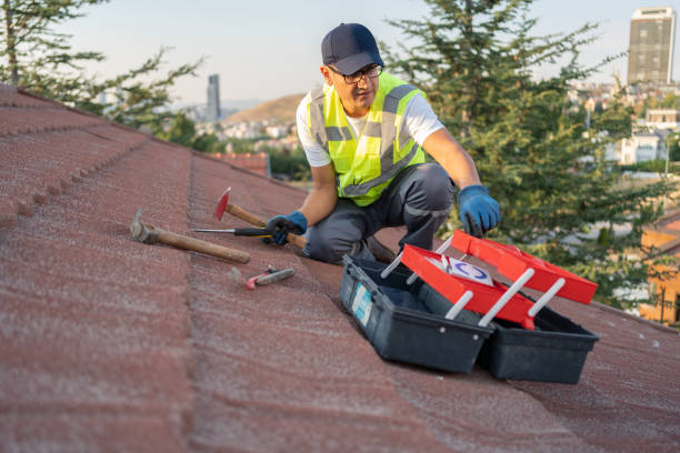 Best Fiber Cement Siding Installation  in Union Springs, AL